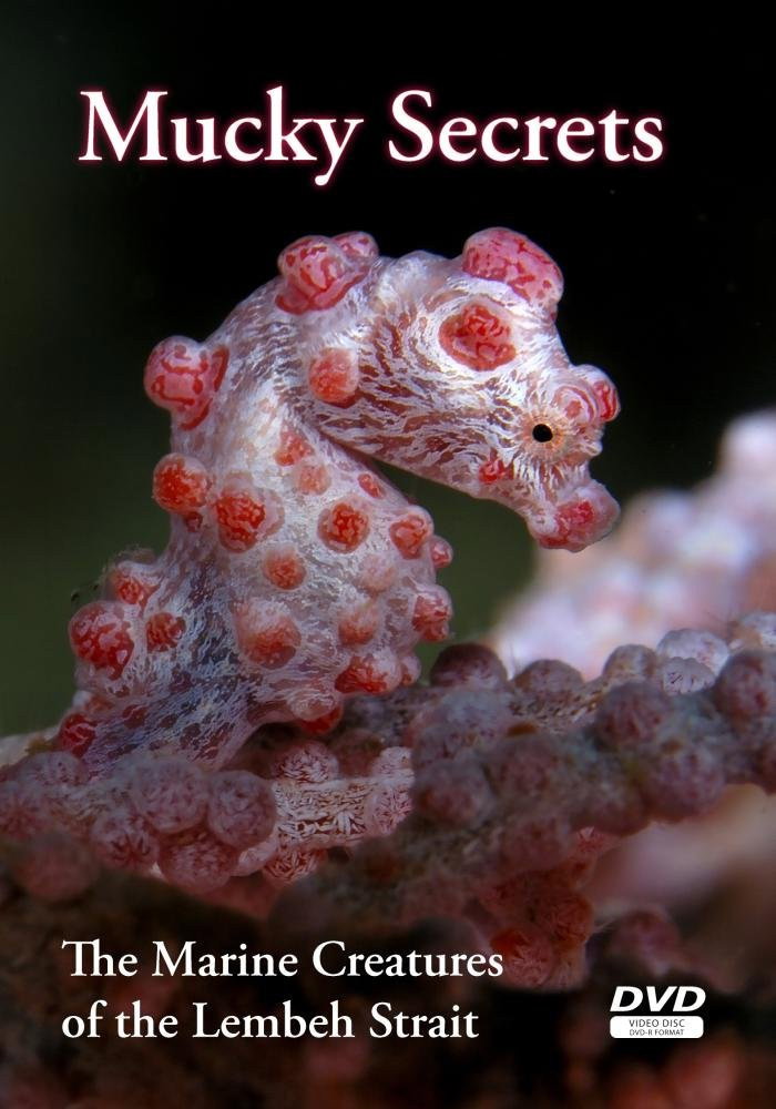 Mucky Secrets: The Marine Creatures of the Lembeh Strait
