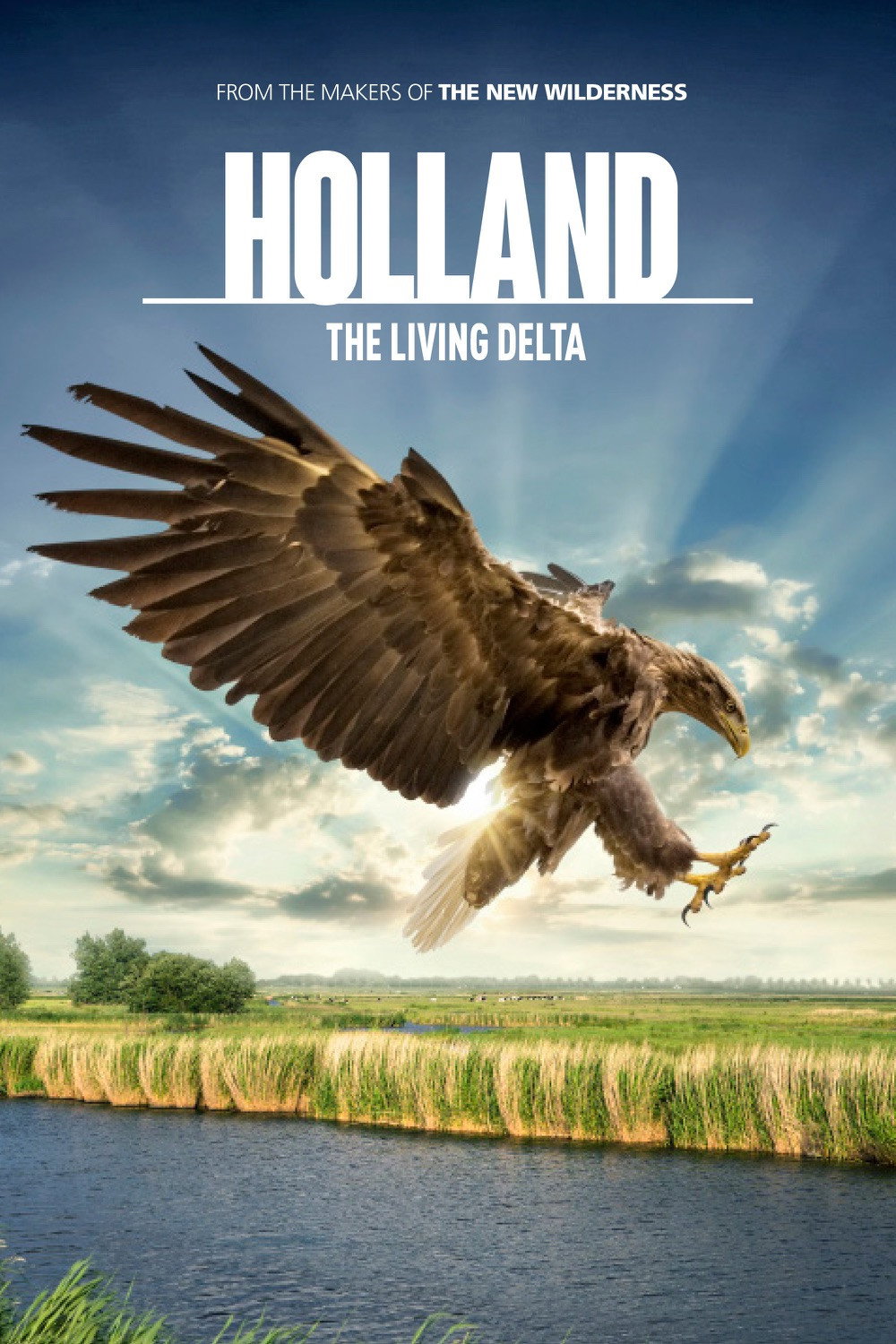 Holanda salvaje: el delta viviente