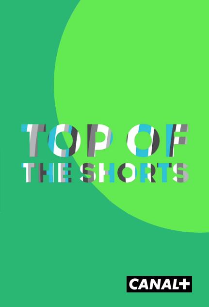 Top of the Shorts