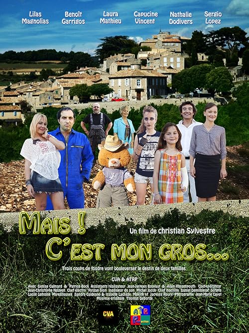 Mais c'est mon gros