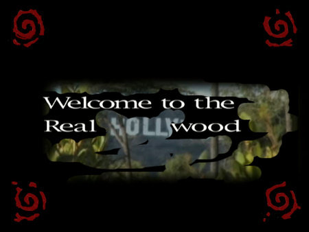 Welcome to the Real Hollywood