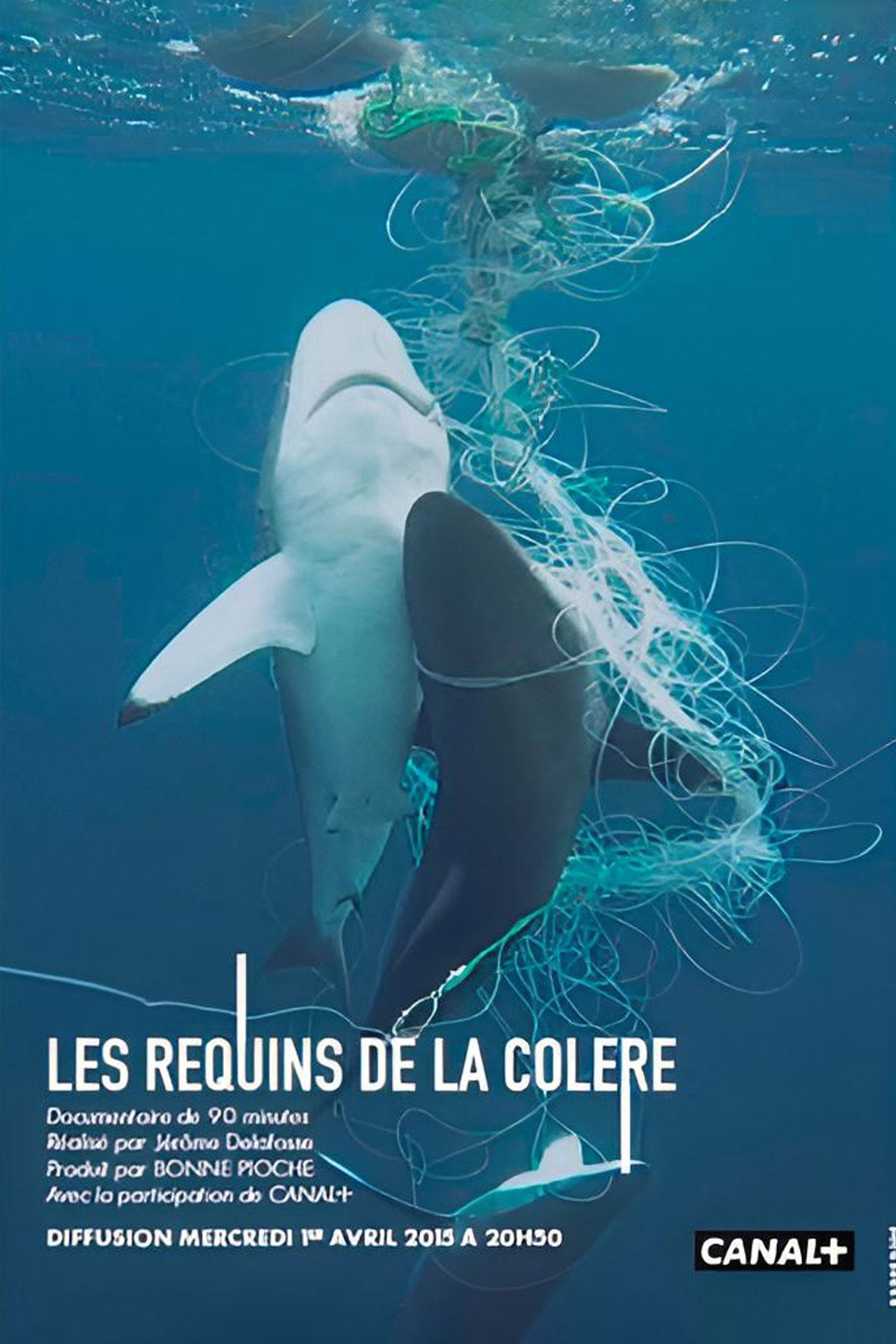 Les requins de la colère