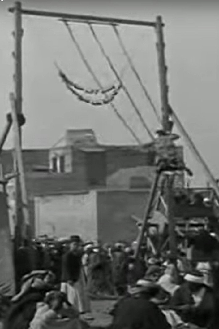 Palestine - Programme documentaire