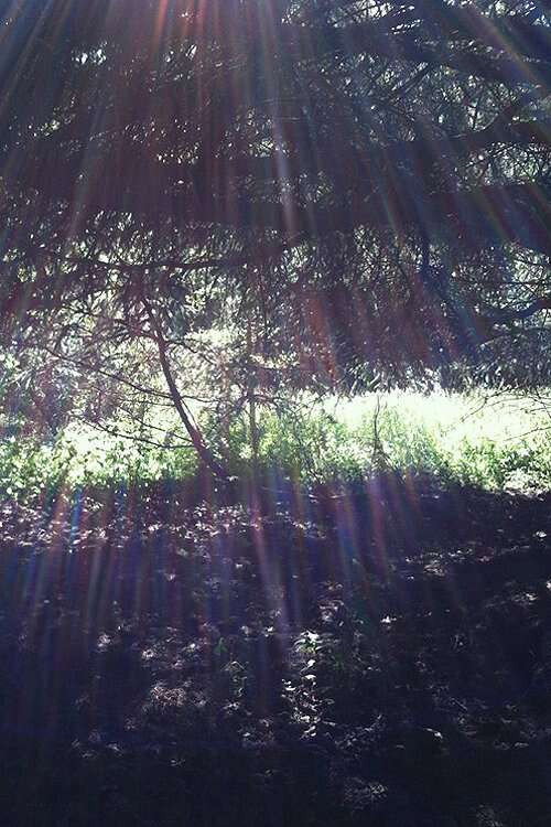 Spring