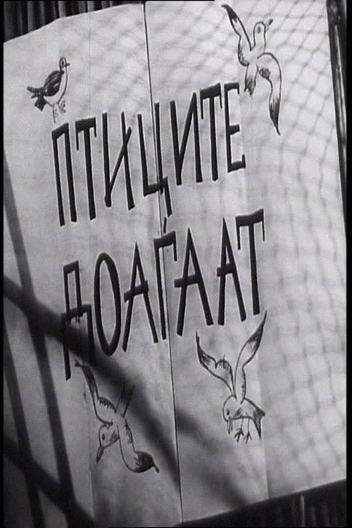 Птиците доаѓаaт
