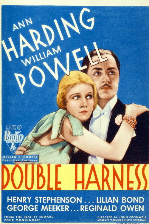 Double Harness