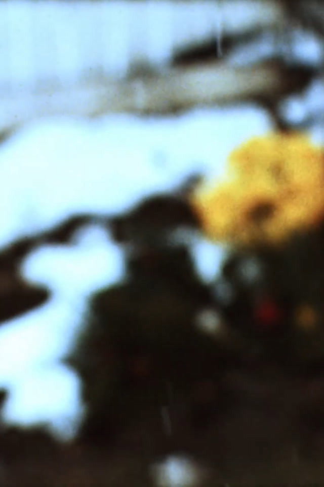 Quartet (In-Camera)