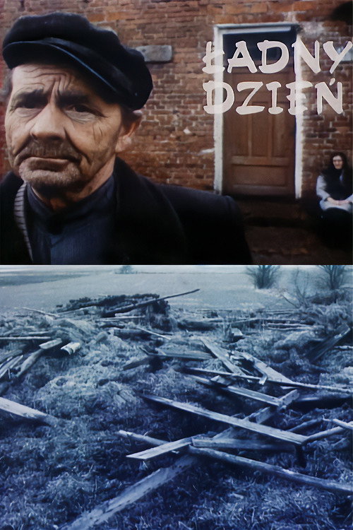 Ładny dzień