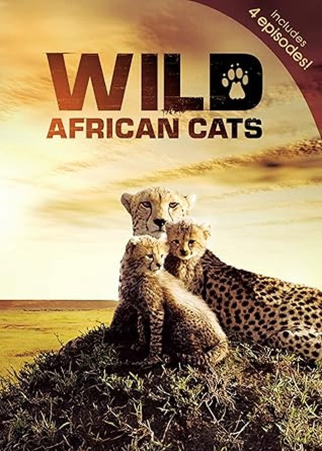Wild African Cats