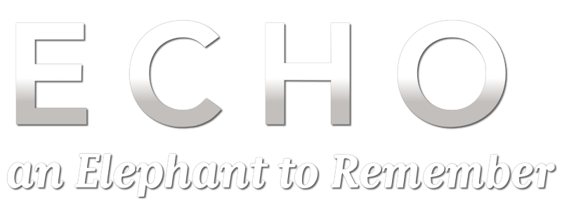 Echo: An Elephant to Remember