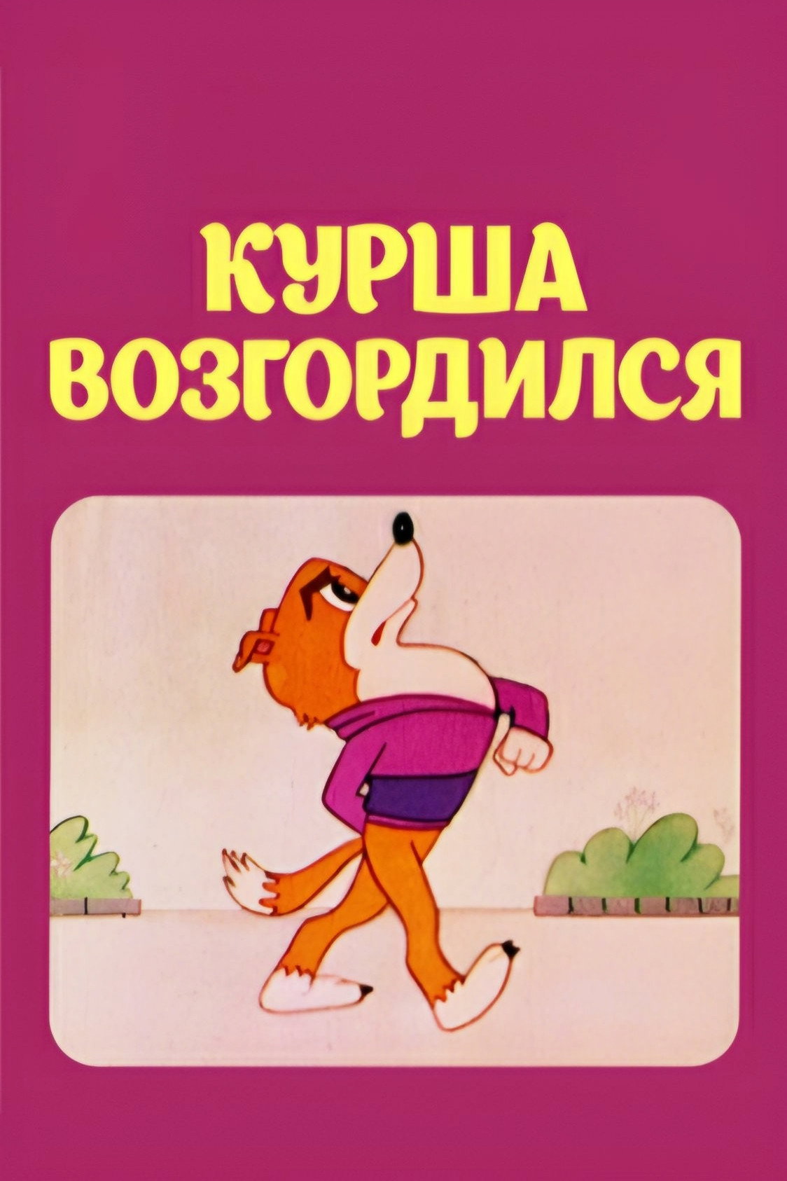 Курша возгордился