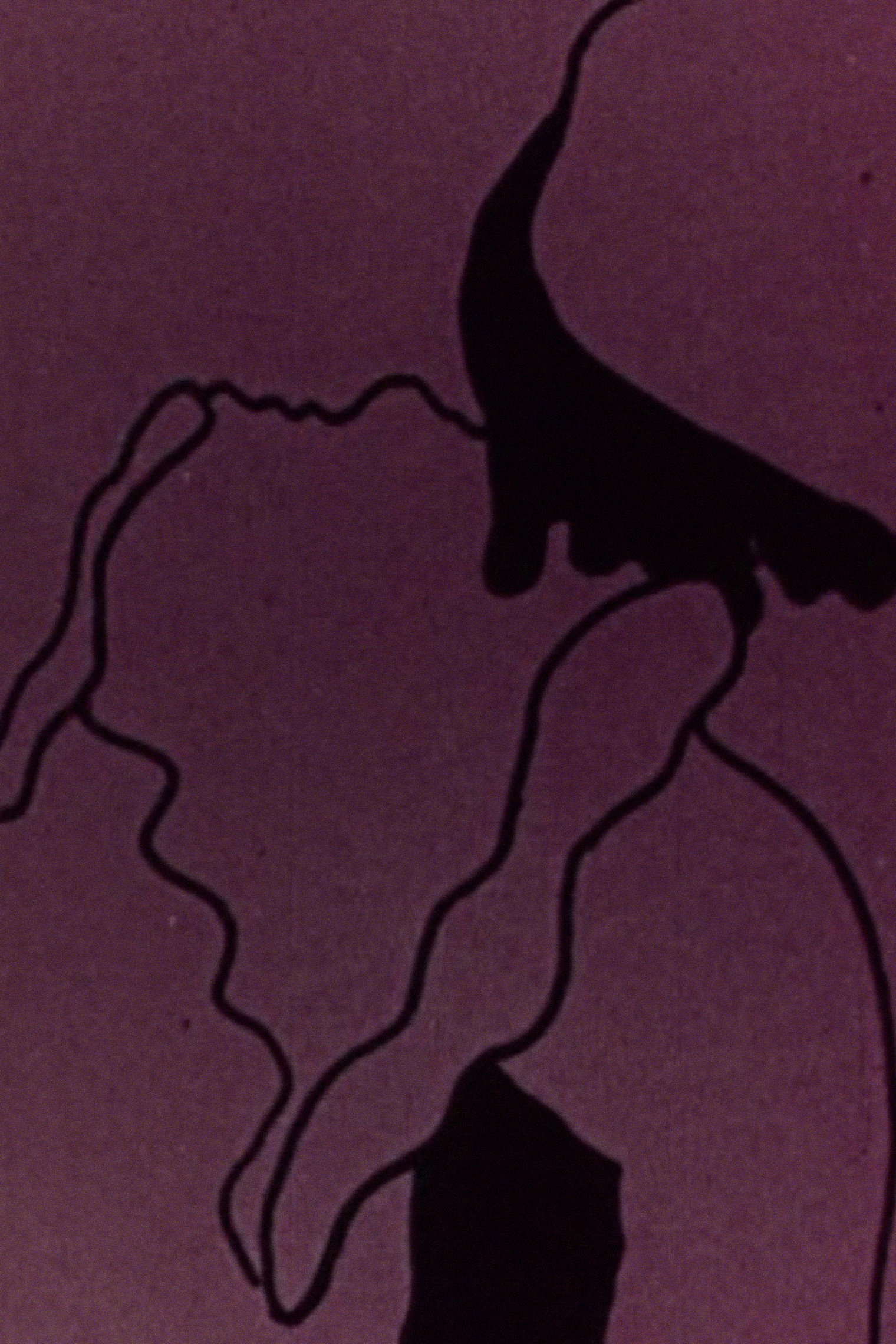 Cupid and Psyche