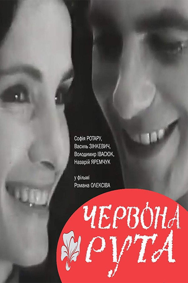 Червона рута