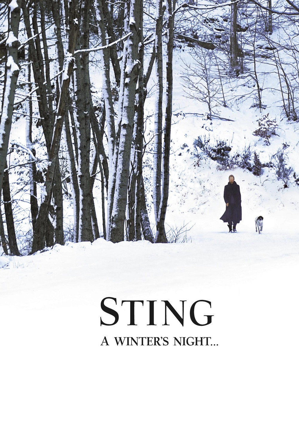 Sting - If On A Winter's Night
