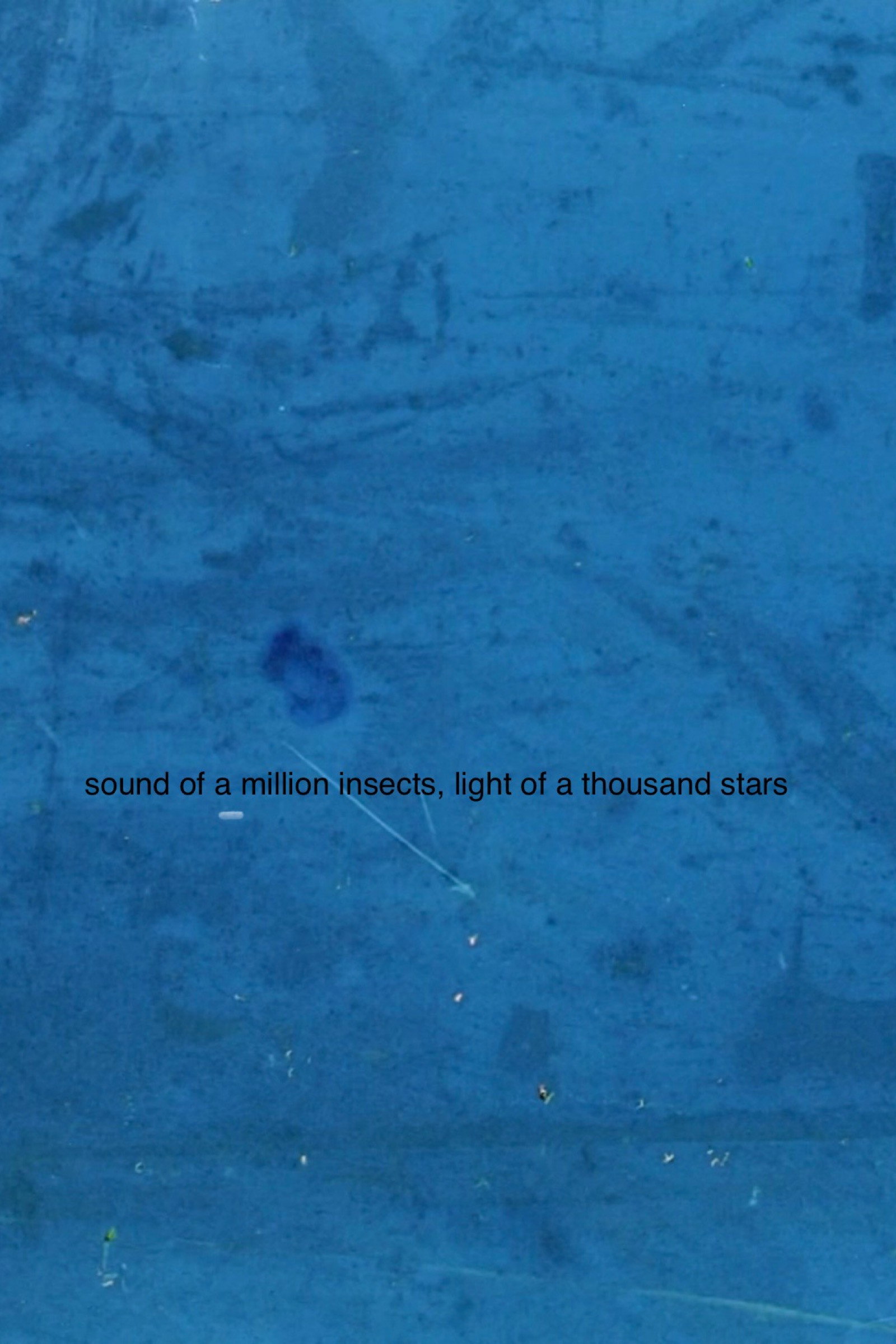 Sound of a Million Insects, Light of a Thousand Stars
