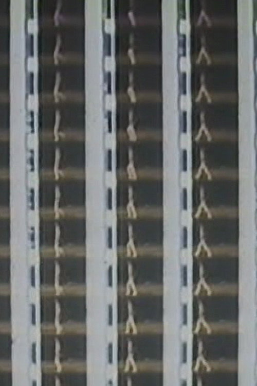 Film Display