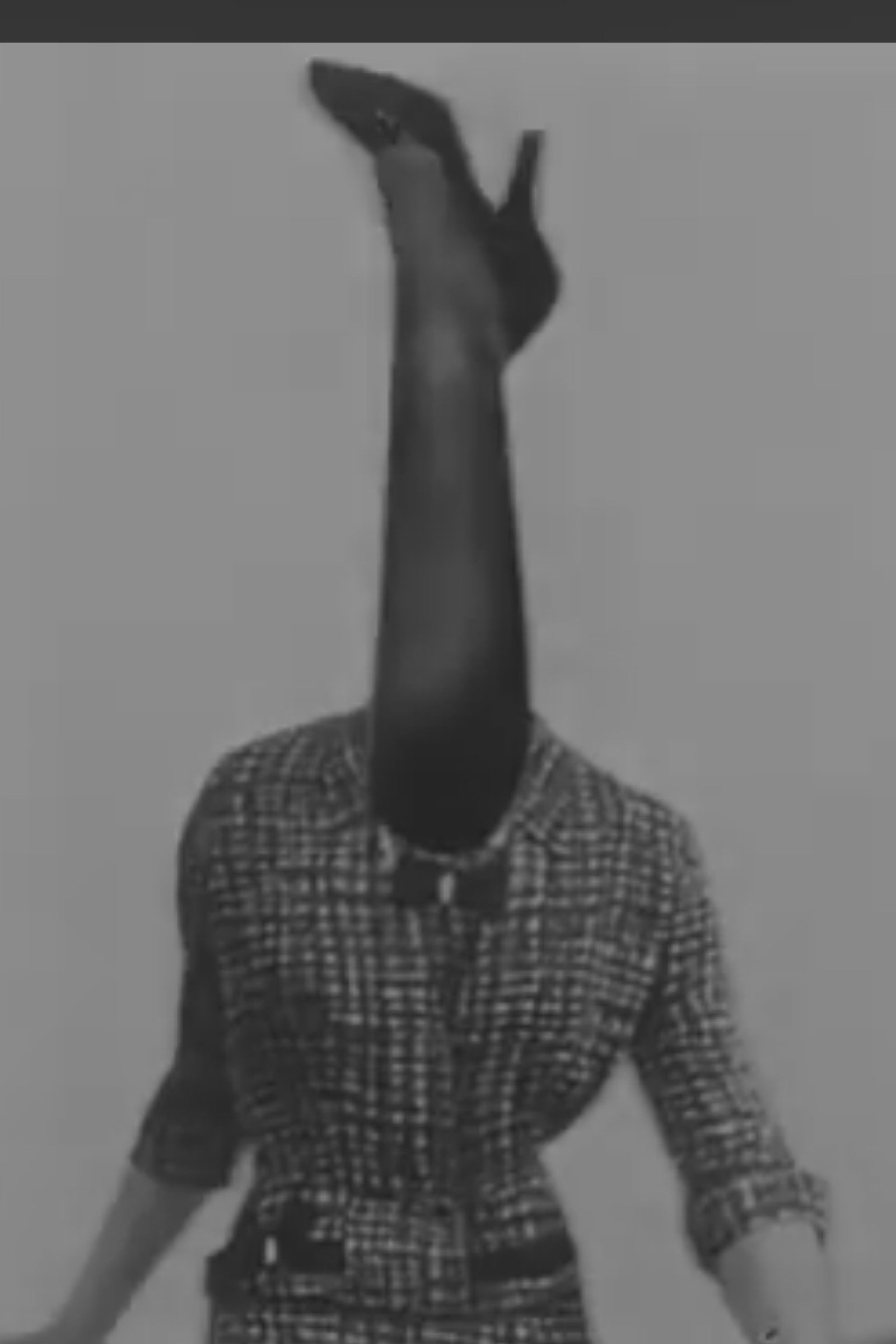 ファッション