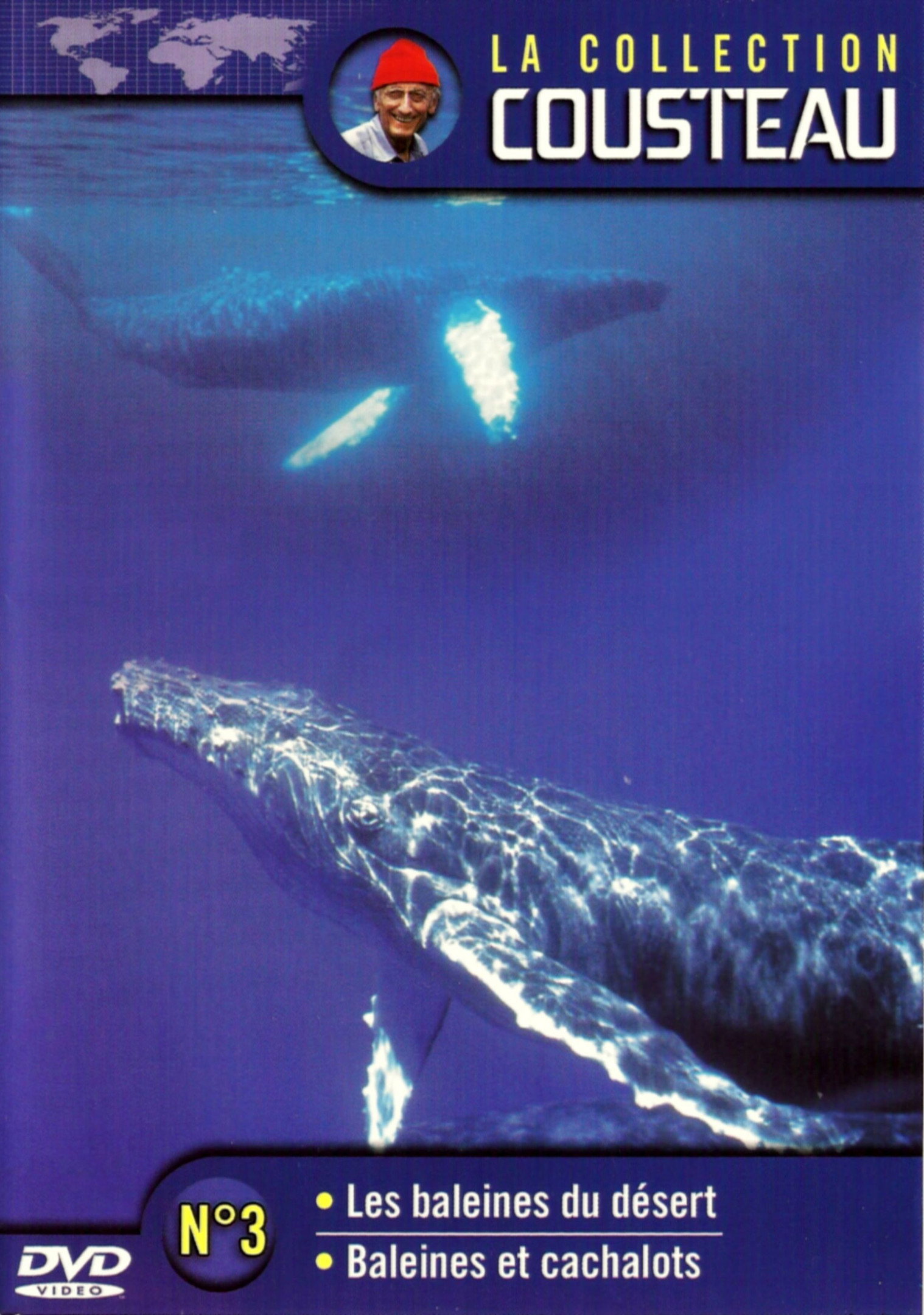 La collection Cousteau N°3 | Les baleines du désert | Baleines et cachalots