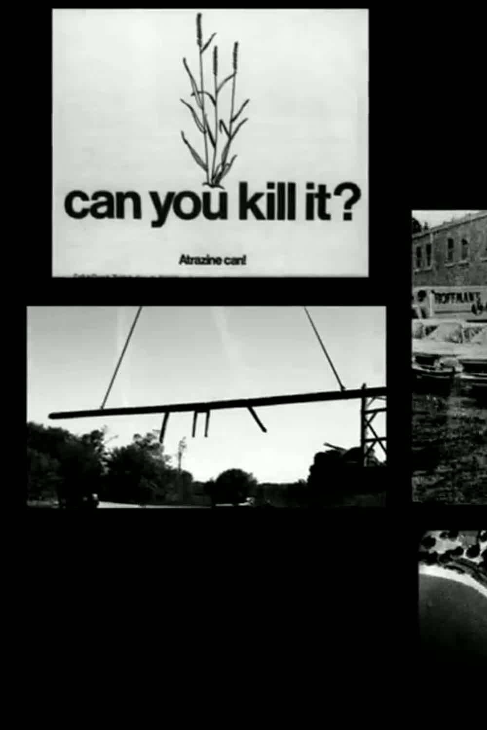 Slaughterhouse
