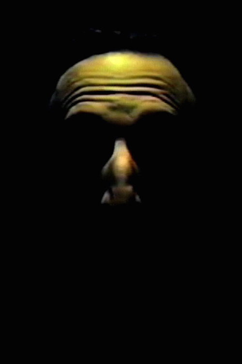 Digital Speech