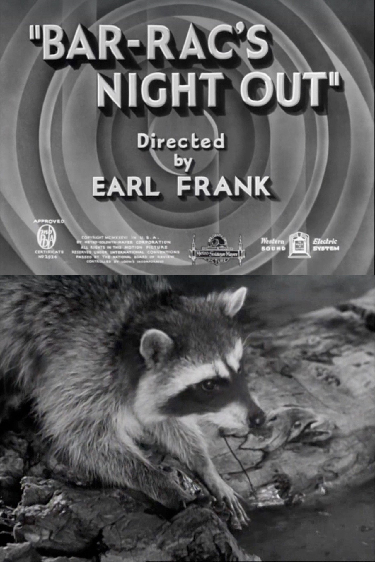 Bar-Rac's Night Out