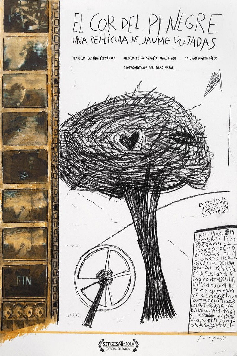 El cor del pi negre