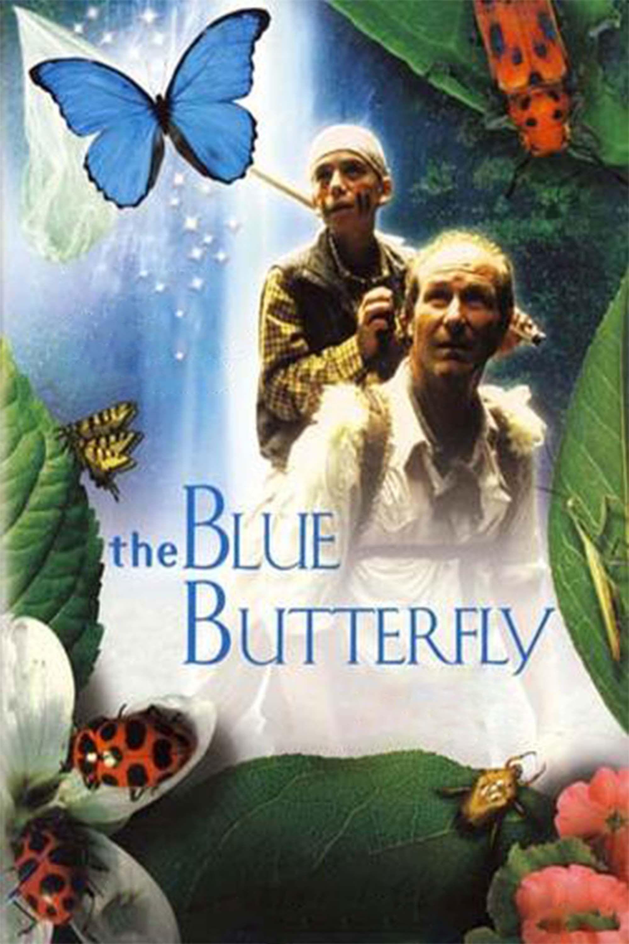 Das Geheimnis des blauen Schmetterlings