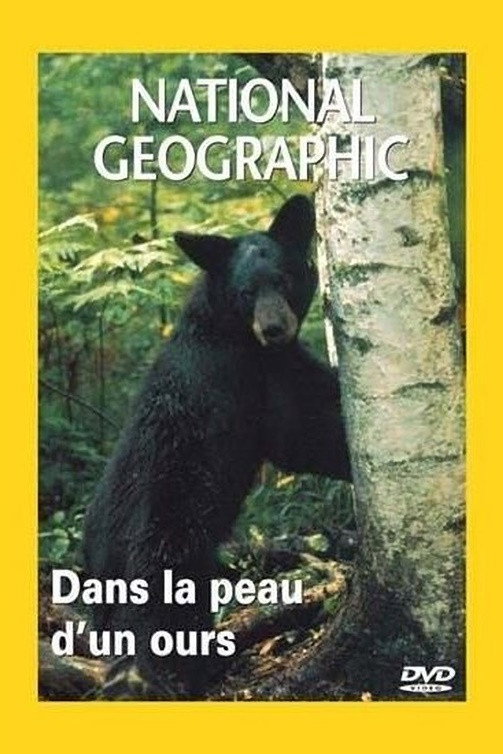 National Geographic : Dans la peau d'un ours