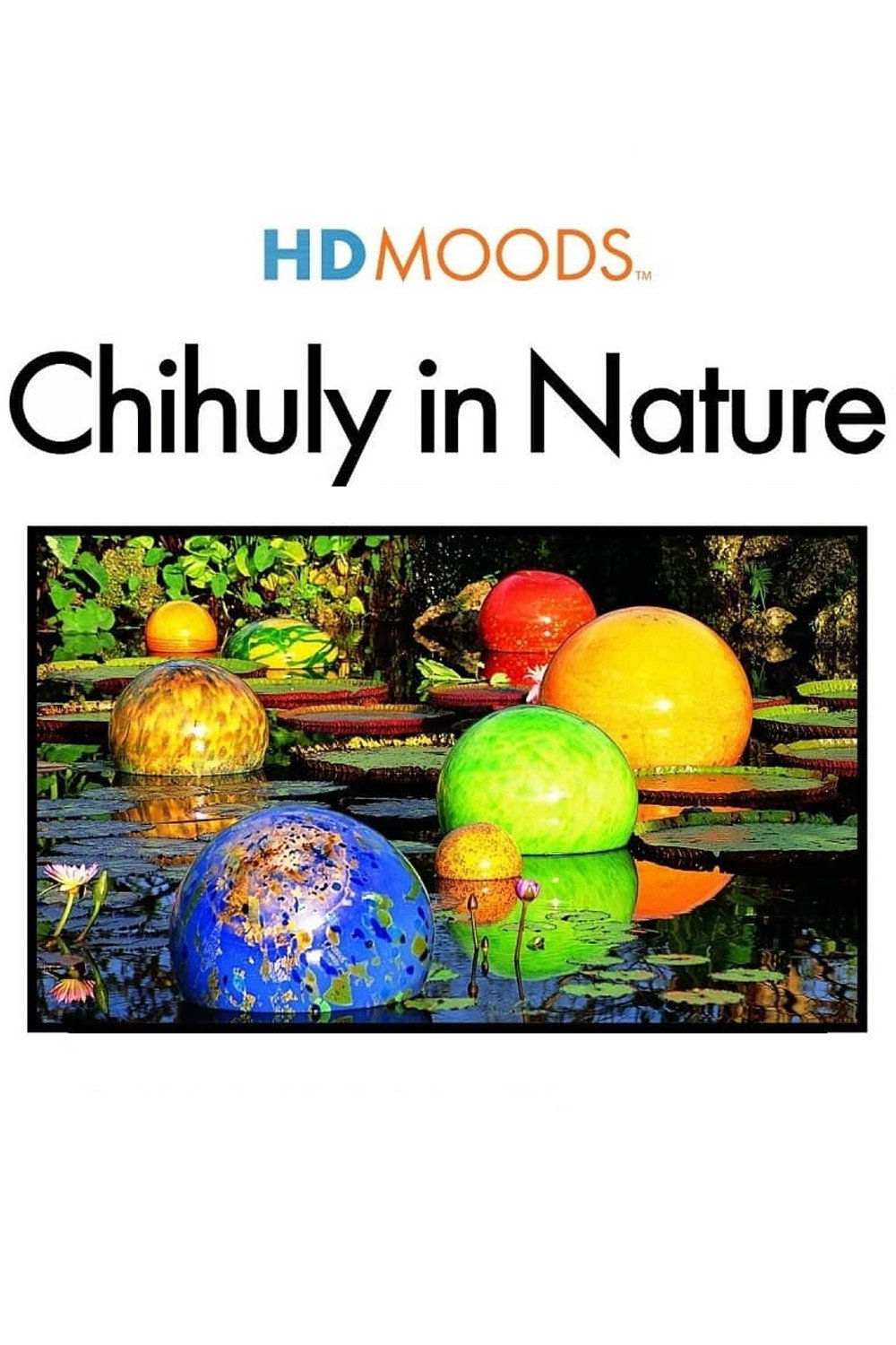 HD Moods: Chihuly in Nature