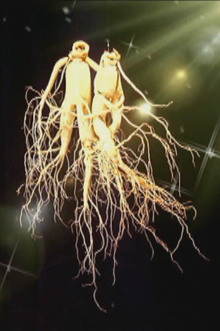 Visit to Kaesong, the Place of Ginseng