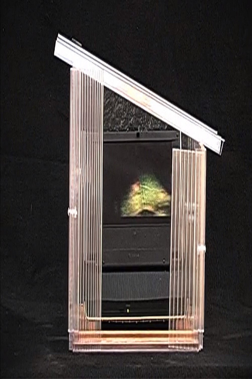Luminous Greenhouse