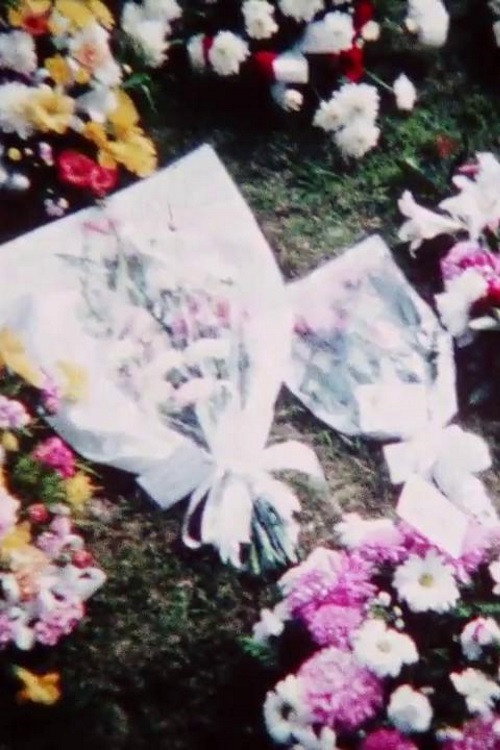 Living Memory