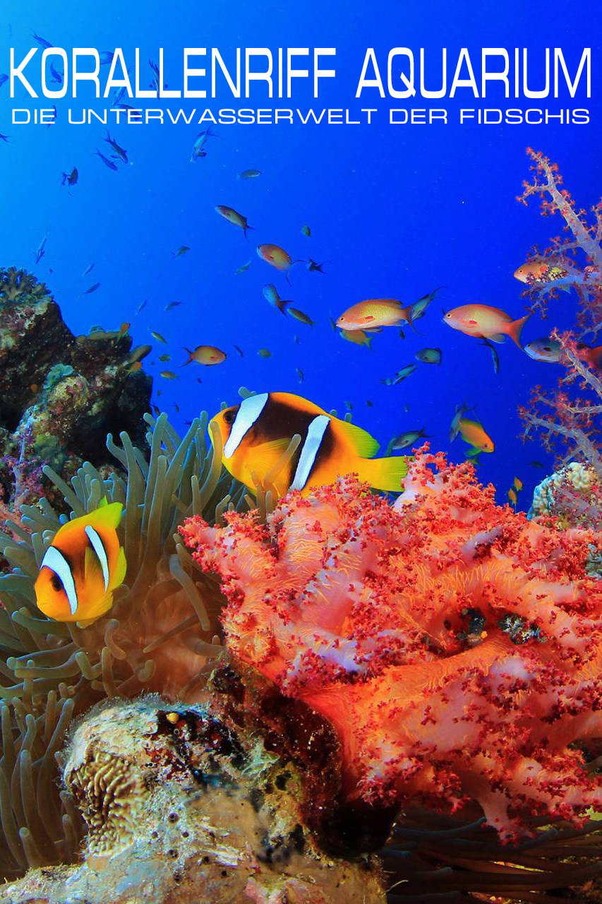 Korallenriff Aquarium in HD - Die Unterwasserwelt der Fidschis