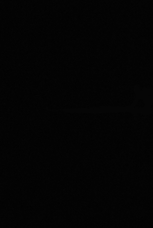 사냥의 밤