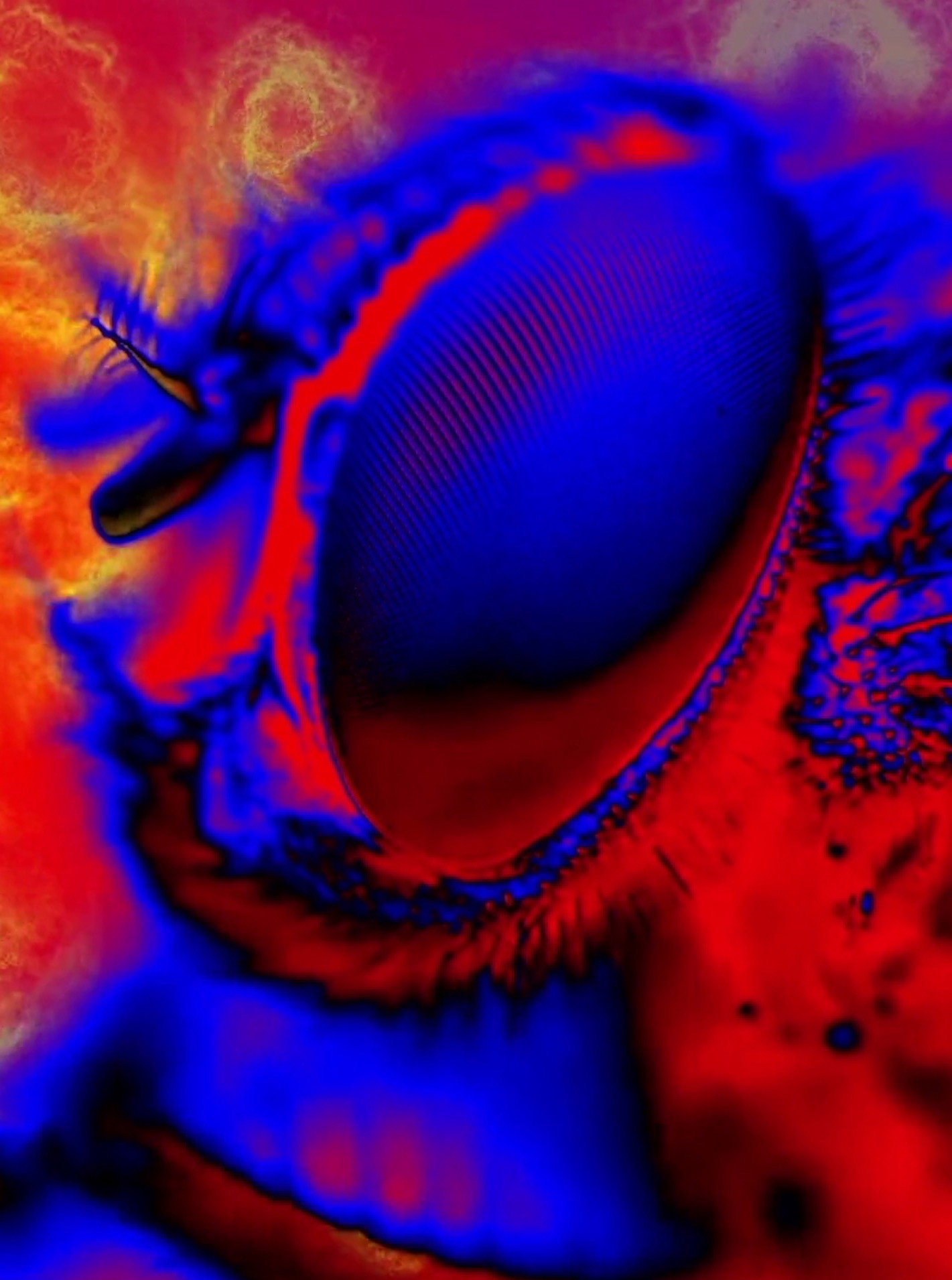 Electric Arthropods