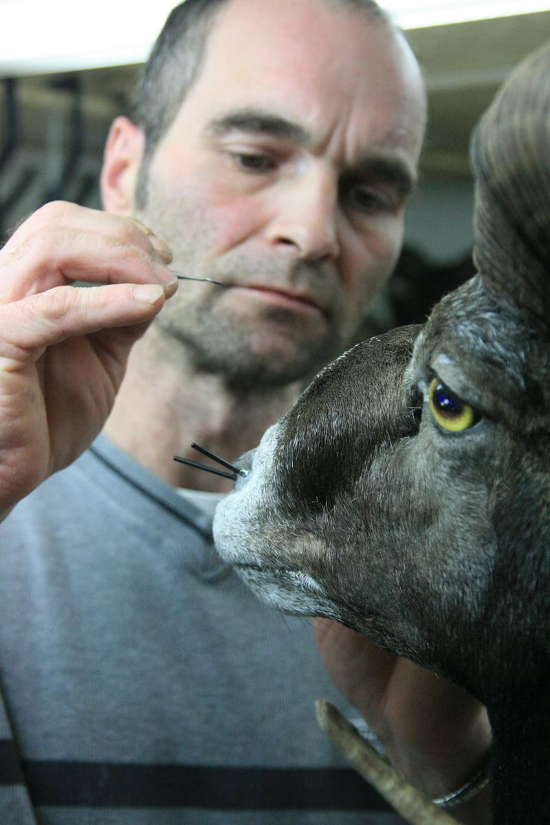Taxidermist