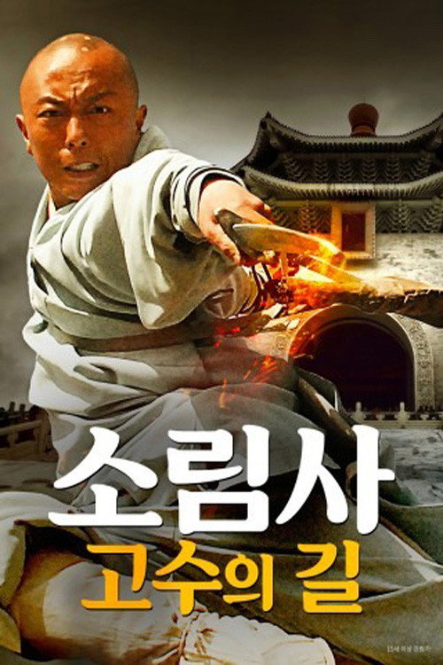 소림사: 고수의 길