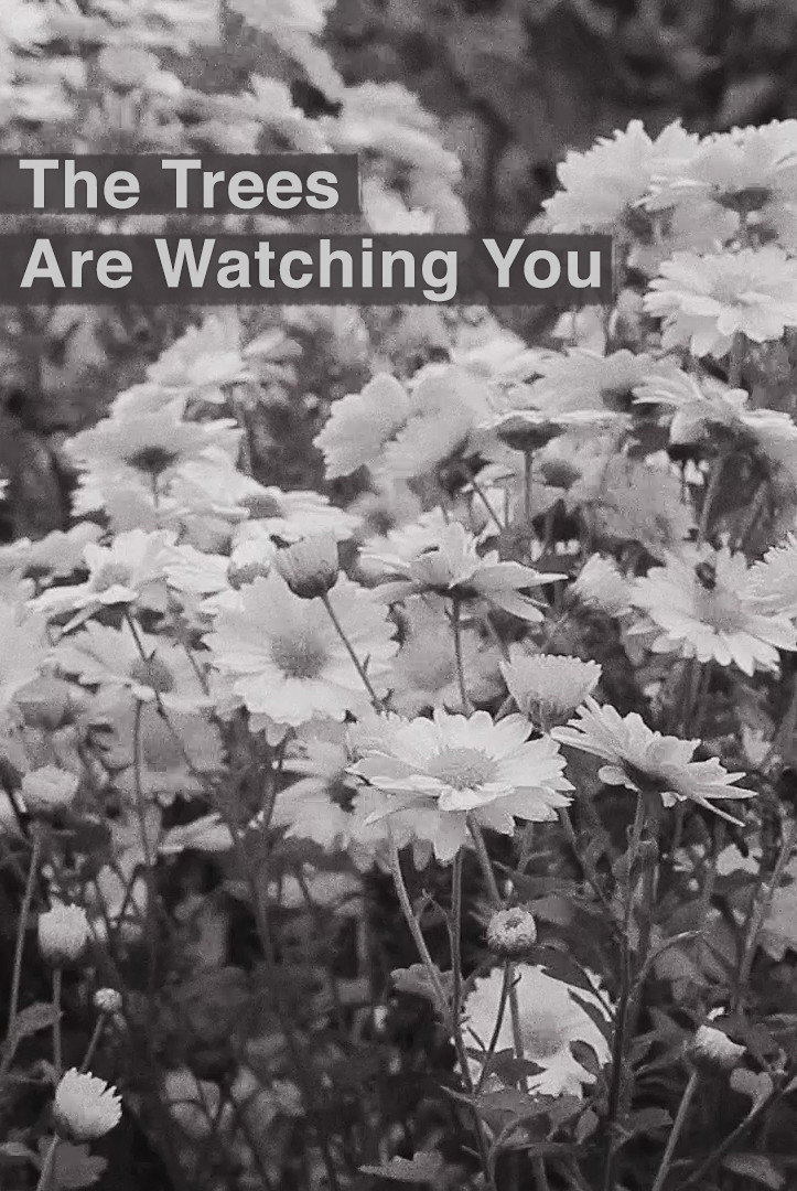 The Trees Are Watching You