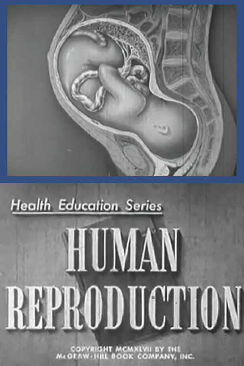 Human Reproduction