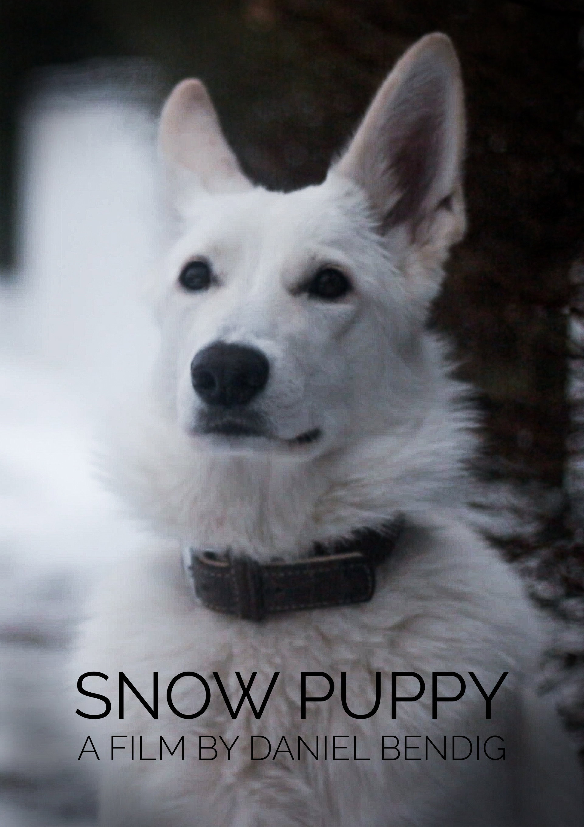 Snowstorm