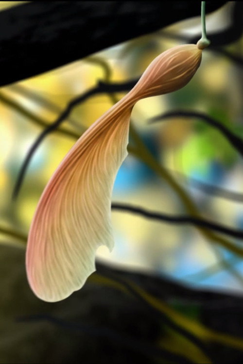 Atmos Leaf