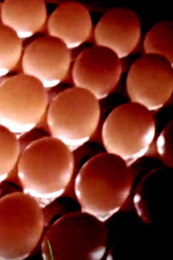 Eggs To Market