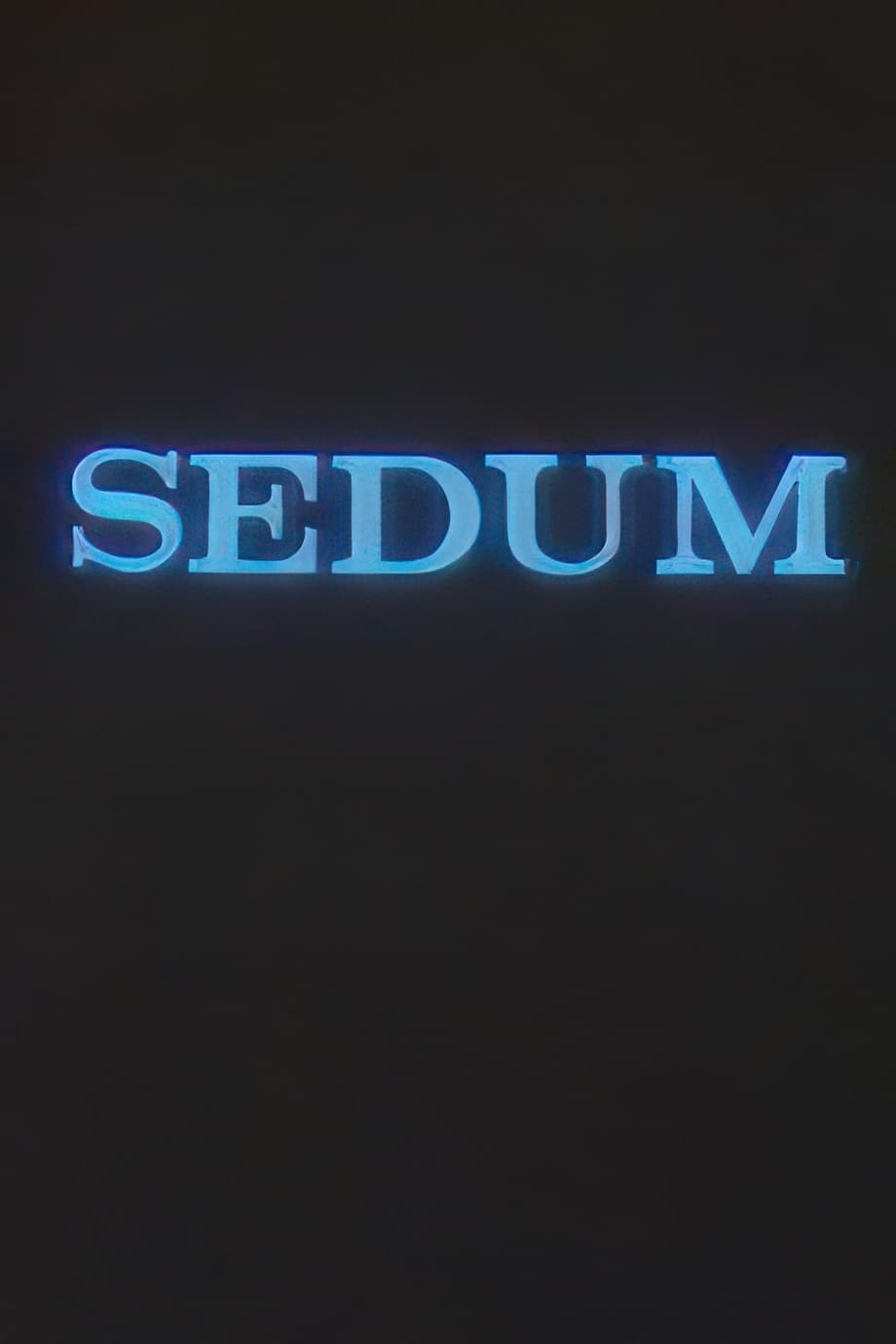 Sedum