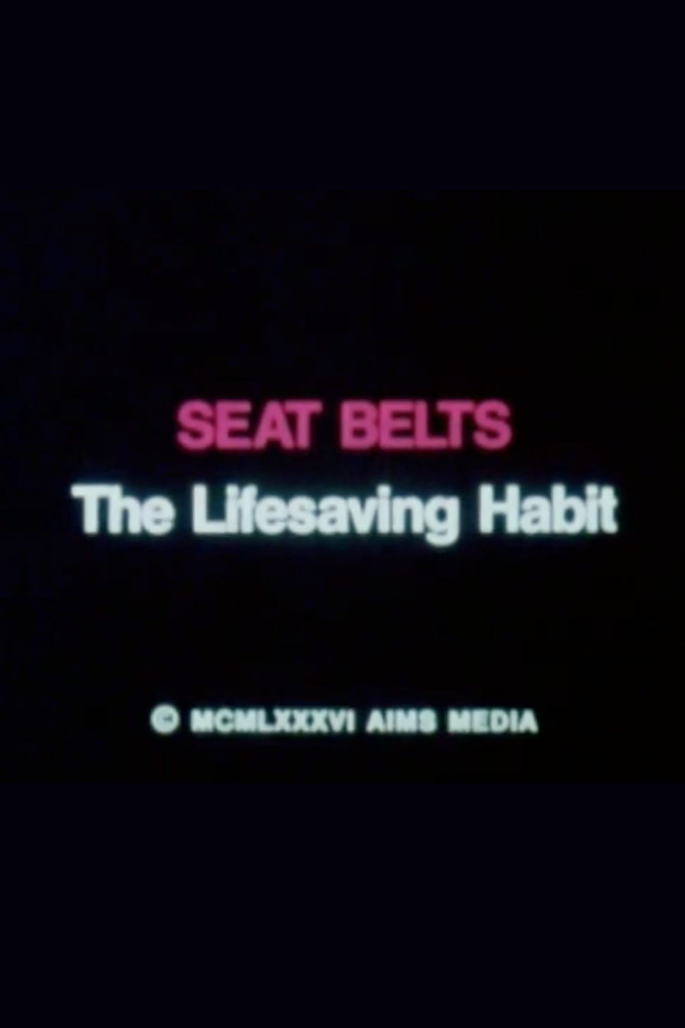 Seat Belts: The Lifesaving Habit