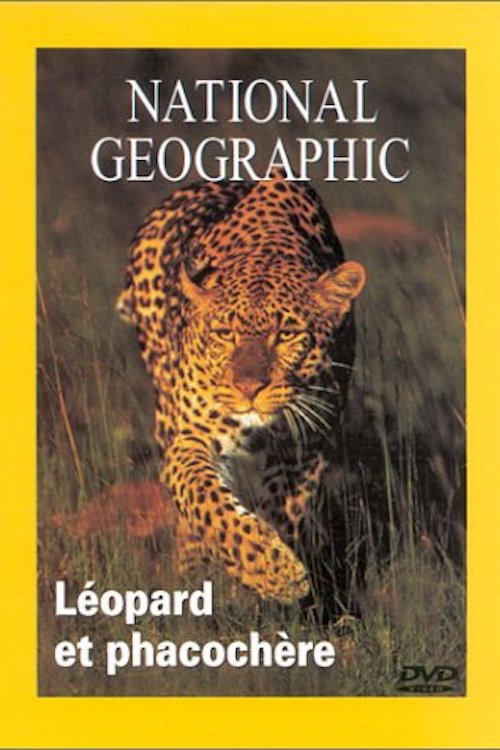 National Geographic Leopard et phacochere