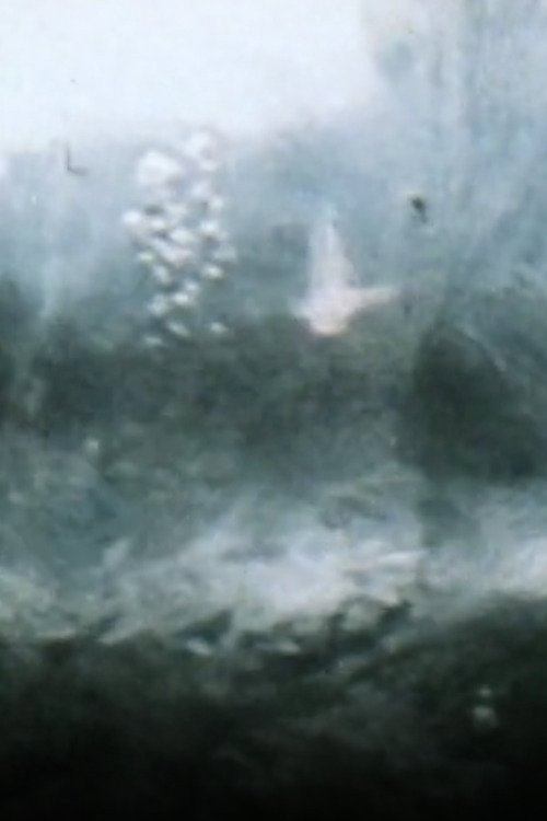 Snow Movies