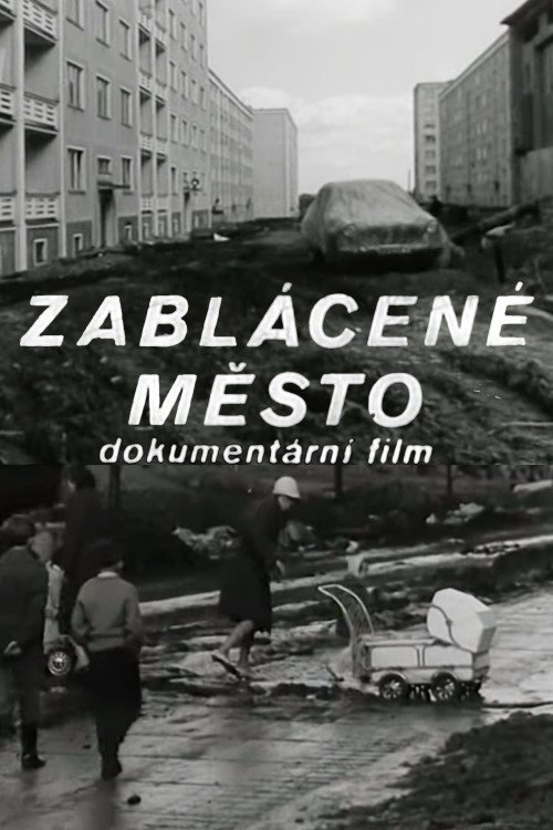 Заболоченное место