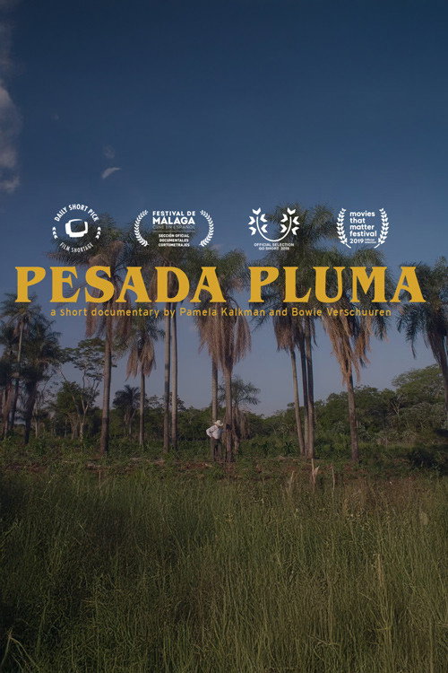 Pesada Pluma