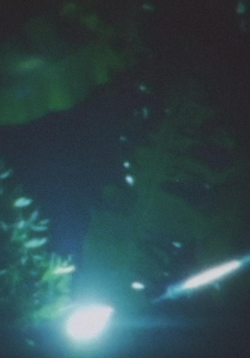 路地提灯