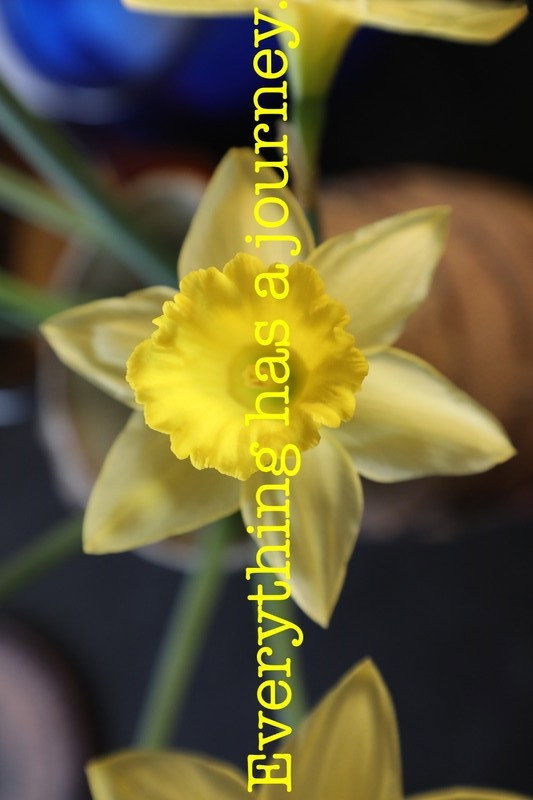 The Path of the Daff